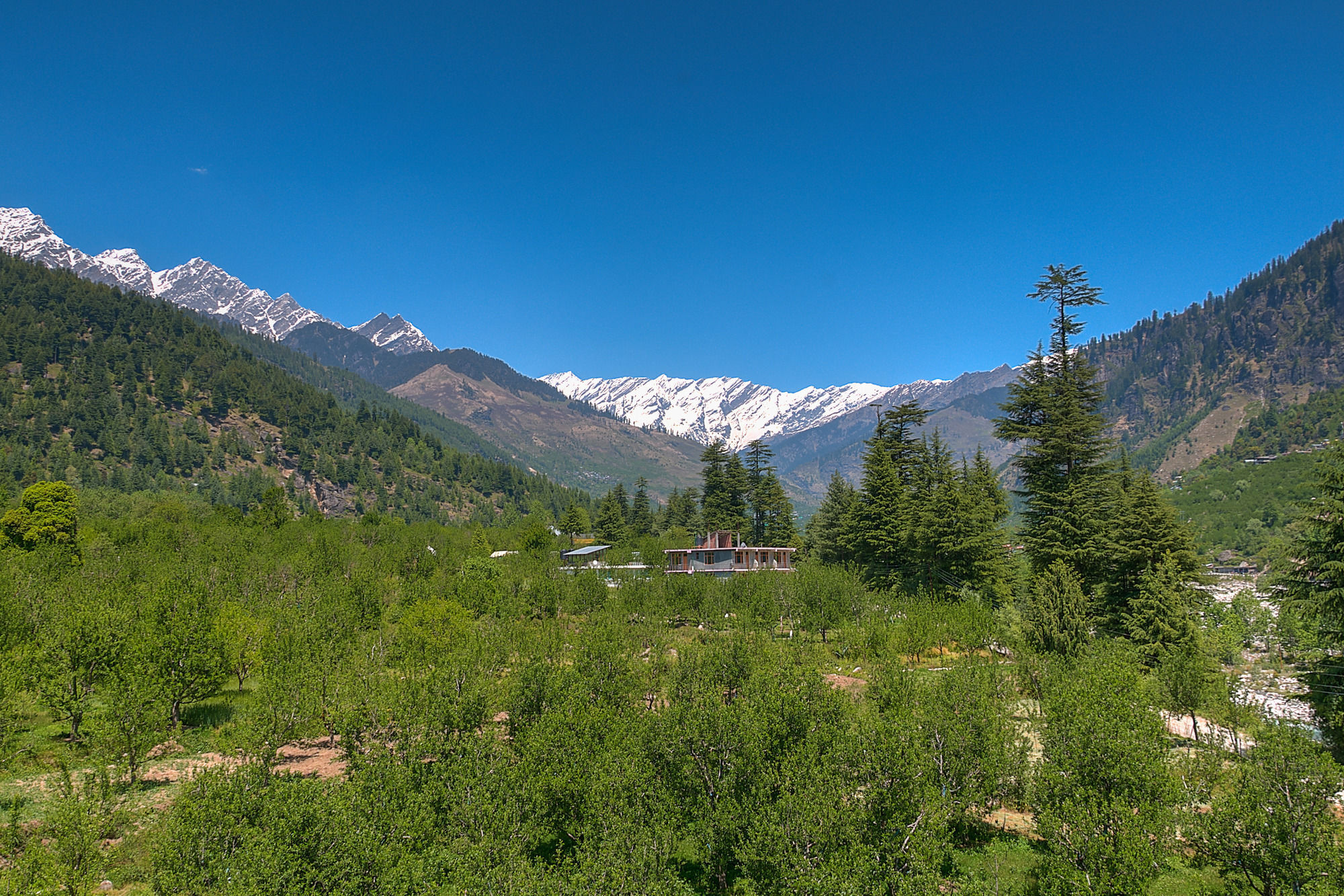 Готель Treebo Trend Celebriti Manali Vashist Екстер'єр фото